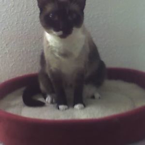 Meet your Posher, Caroline